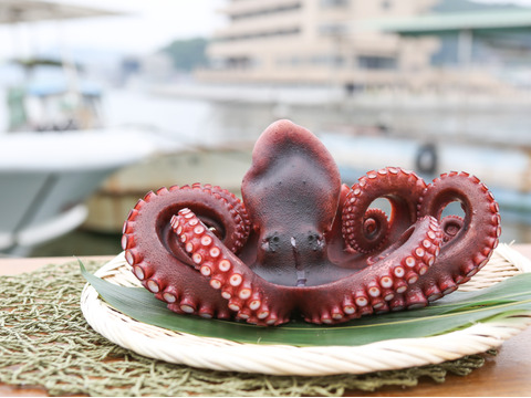 【冬ギフト】たこハンバーグ【手ごねフワフワ感】ジューシー　130ｇ×5個「熨斗対応可」