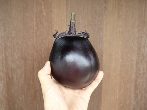 京伝統野菜『賀茂なす』３個