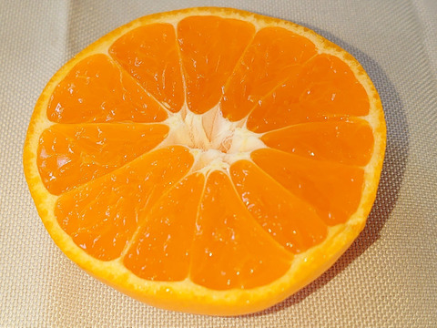 『家庭用』お買い得【自然栽培】 完熟 中生みかん（10K）