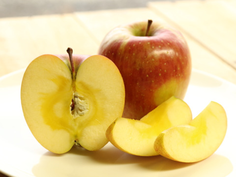 【先行予約・11月中旬発送予定】葉とらずふじ 当園の１番人気りんご！ 5kg（12〜20玉）