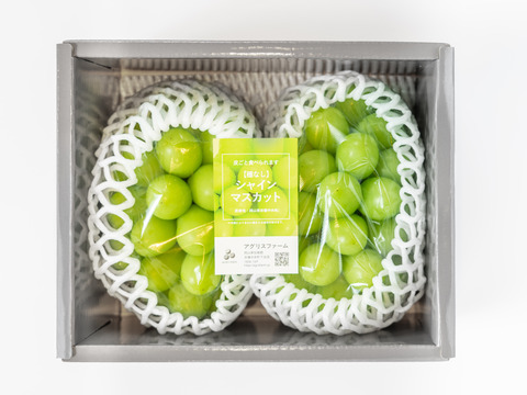 【贈答用】 岡山県産シャインマスカット 2房  予約販売！9月中旬より順次発送致します。
