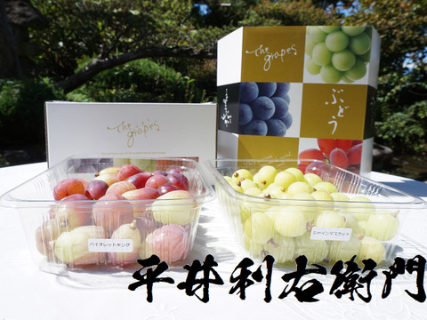【冷蔵便】平井利右衛門の赤青ぶどう(バイオレットキング、シャイン/粒1.5kg)