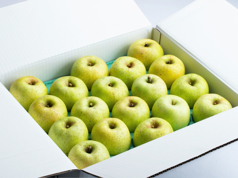 【りんご：王林】癒やしの香り豊かな時間 青りんご特大14～10個程度（5kg程度）