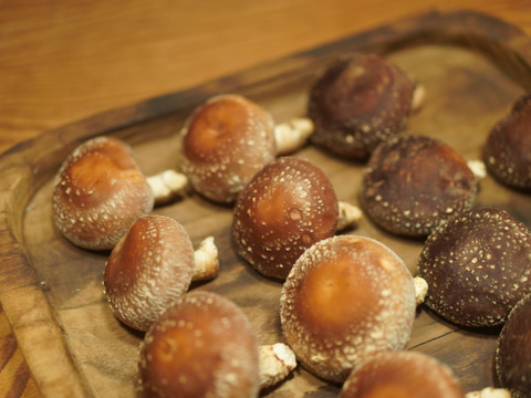 山育ち『原木椎茸』1kg