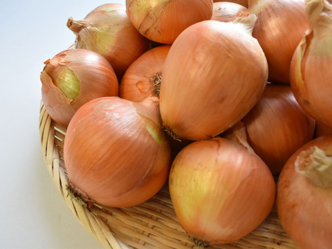 和らぎ農法　極みの玉ねぎ便（約5kg）