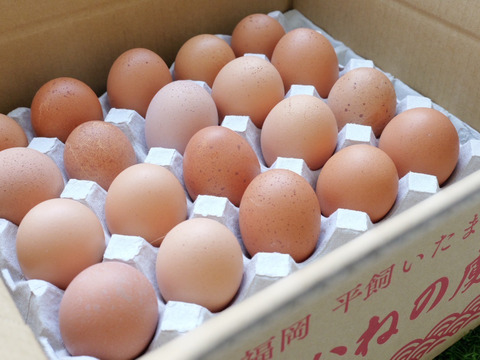 ✨個性がキラリ✨平飼いごちそう卵【あかねの虜】規格外品（40個入） 28歳2児の母がプロデュースする話題の卵【👑大手検索サイト「福岡 卵」表示ランキング１位の農場です👑】