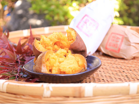 《化粧箱ver》リピーター続出【厳選】熟成安納芋（3㎏）蜜いっぱいのさつまいも🍯🍠高級感のある箱に入れ、ひとつひとつ紙に包んでお届け✨贈り物にピッタリ【冬ギフト】【お歳暮】【贈答用】熨斗承ります。