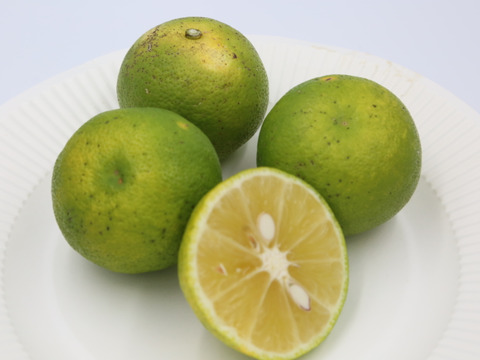 3K３セットまとめ　特売セール　黄色く酸っぱさと甘さが増えている【自然栽培】 かぼす　3K×３個