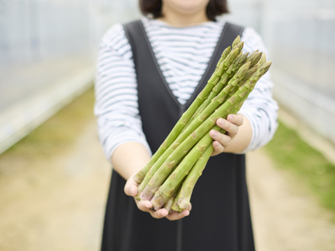 🎉2年越しで販売再開🎉青空レストラン出演🧑‍🌾『Mr.アスパラ』30㎝/1㎏