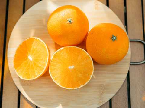 福袋】大人気2品種 段畑セット「みかん2.6キロ」＋「まどんな600g