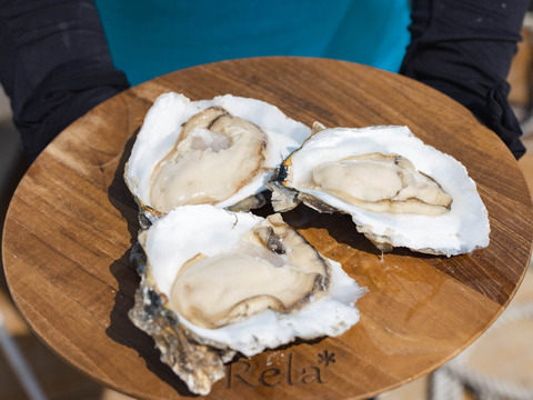 【冬ギフト】【加熱用】有明海だけの希少牡蠣！甘み濃厚『スミノエ牡蠣』〈殻つき・冷凍〉2kg