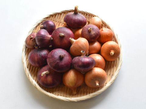 和らぎ農法　玉ねぎ食べ比べ便（約2.5kg）