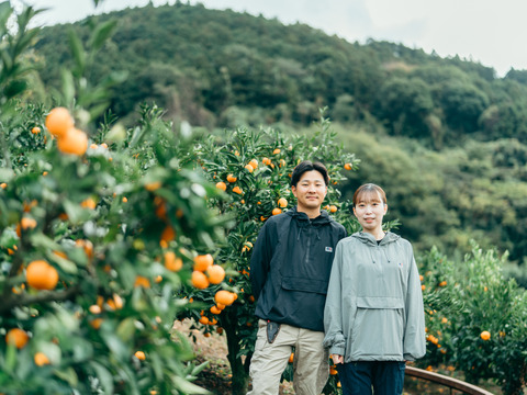 【7キロ】サンフル(甘夏) ご家庭用