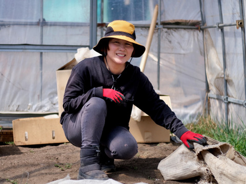 北杜市八ヶ岳南麓産！【玉ねぎ９.５㎏】栽培期間中農薬化学肥料不使用！