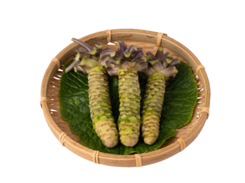 【お得！！】真妻わさび 約150ｇ（本数：3～5本） 和歌山県産
