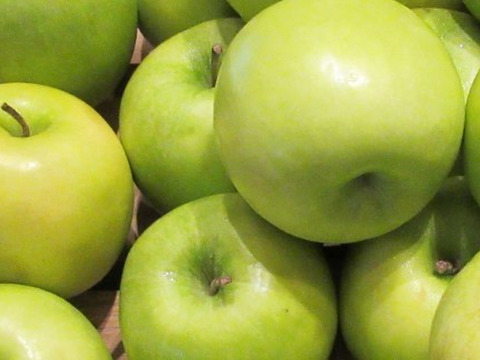 グラニースミス SS小玉ちゃん家庭用含(約4.3㎏）25～28玉
欧米で青りんごといえばこれ　アップルパイにおすすめ 　
きずや形など家庭用も含めて　ケース詰めまたはバラ詰めでお届け