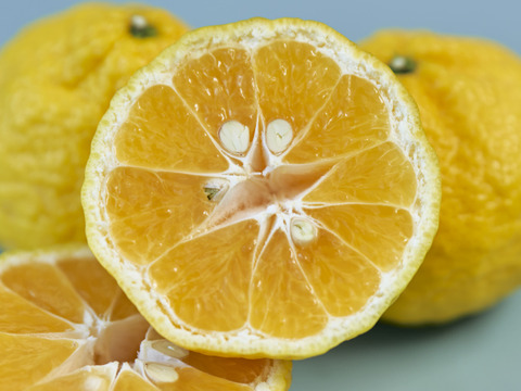 箱込約1㌔　媛小春　リピート率高い　黄色いけど酸味のない春を告げる味