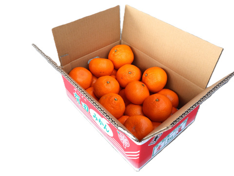 【冬ギフト】農家直送！有田みかん5kg≪3Lサイズ（超大玉） 秀品≫【平武農園】～蛍飛ぶ町から旬の便り～　和歌山｜有田｜田口｜ギフト｜こだわり　産地直送　お取り寄せ