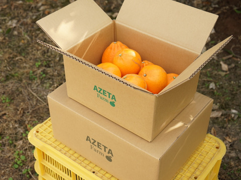 柑橘の大トロせとか！　
(訳あり 5kg)