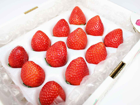 (1P)約280g【いちご・とちあいか】安心新パッケージ★甘さ増量●栃木県産いちご●お届け日指定可