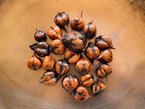 【数量限定】国産くるみ 山グルミ オニグルミ 栽培期間中農薬不使用 150g