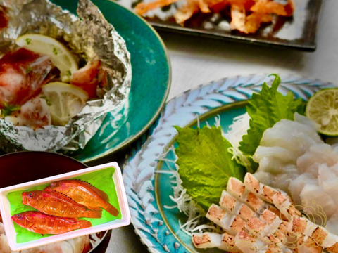 【特大サイズ】 宮崎のアカハタ（４匹）｜８月下旬まで発送