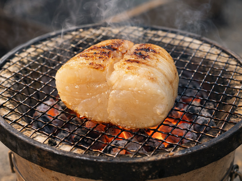 日間賀島産【天然 平貝（タイラギ）】
春が旬，貝柱，貝紐，玉｜刺身用・寿司ネタ・高級貝・産地直送|下処理済発送‼︎6枚