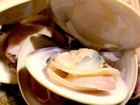 【日時指定も可！】活小はまぐり１０㎏入｜九十九里産