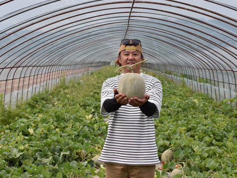 甘いんです！！『温室で育った完熟メロン』２玉入り🍈🍈