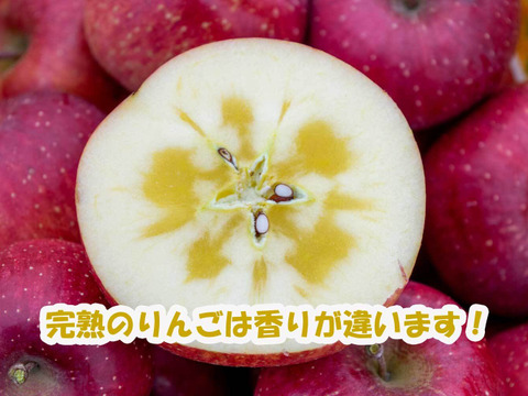 【今だけお買い得！訳あり★50%OFF★】家庭用葉とらずふじりんご10kg【長野県産】