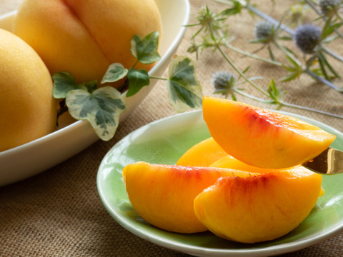 【200セット限定販売】4種の桃だより（食べチョク公式）