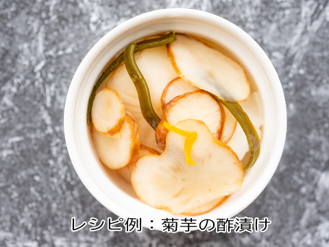 【産直直送！】宮城県産 菊芋500g  紅菊芋 自然栽培 イヌリン 栽培中農薬不使用 赤菊芋 生きくいも 生食