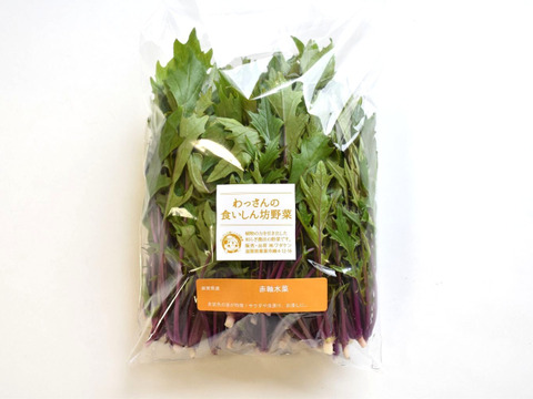 和らぎ農法　赤軸水菜（1袋）