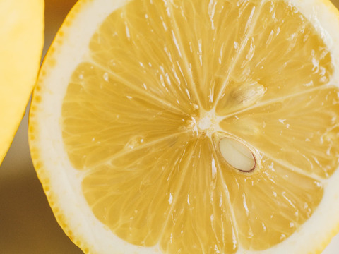 【冬ギフト】レモン1キロ　旬のおまかせ柑橘2キロ　レモンマヨネーズ1本のふじやファームお楽しみセット