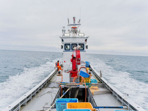 【鮮度が命】ふわっ、ぷりっ！獲れたてホッケのすり身（無添加）200g入／4パック（3D冷凍）