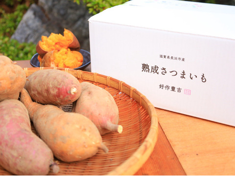 《化粧箱ver》希少な幻の安納芋を熟成！濃厚な甘味でとろけるような焼き芋をご家庭で。厳選「安納黄金」（4㎏）ひとつひとつ紙につつんで丁寧にお届け。【冬ギフト】【お歳暮】熨斗承ります。 🍠✨