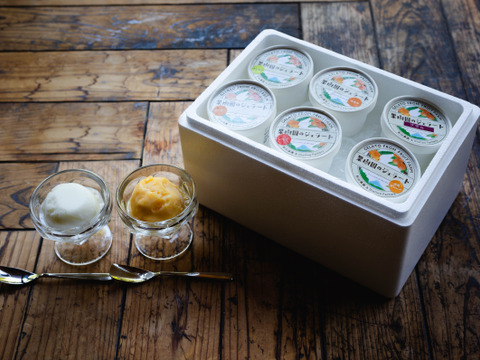 果樹園のジェラート『夏にさっぱりシャーベットおすすめセット』６個入り