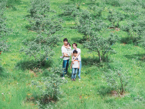 【定期便専用】４kg大粒冷凍ブルーベリー　農薬不使用 「るりしずく」