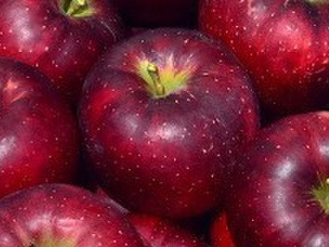 秋映（約5㎏）
真紅色が異彩を放つ、信州生まれのりんご