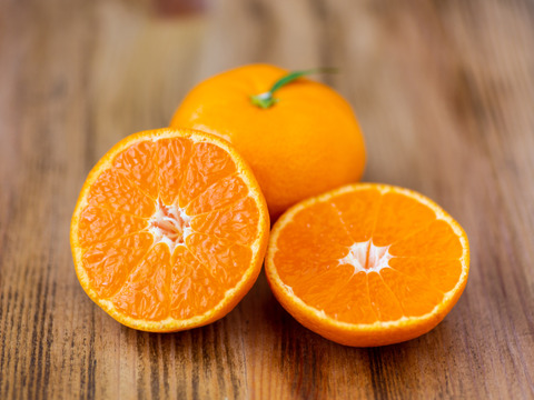 【極め尽くした味わい】玉宝みかん １０㎏（贈答用）