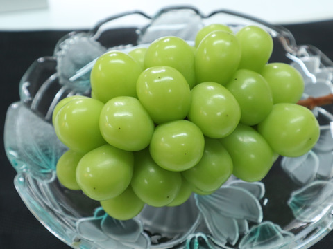 【お中元】【ギフト】厳選！農家直送！　晴れの国岡山のシャインマスカット【贈答用】2kg 4~5房入り
(クレジットカード決済限定)