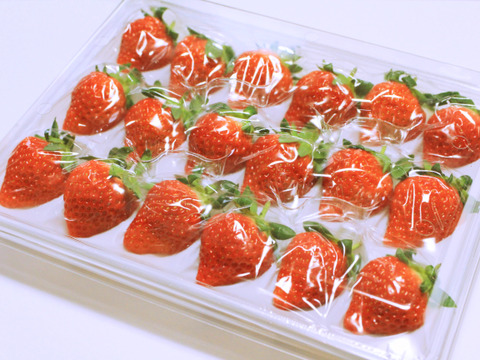 新潟ブランドいちご『越後姫』約350g 18粒