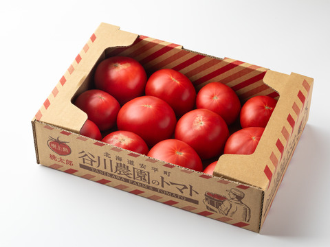 【北海道産】🍅樹上熟3段採り🍅桃太郎トマト2kg箱〈訳あり品〉