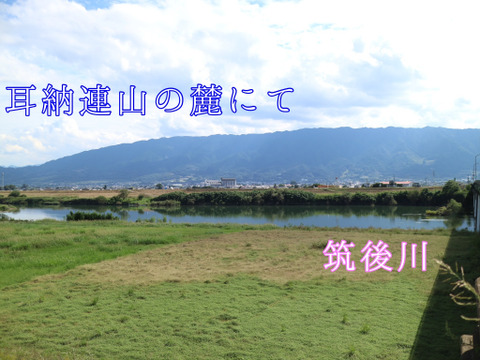 【贈答にも】とろける食感！驚くほど甘い！レッドキウイ　12玉　1020g以上　追熟済み