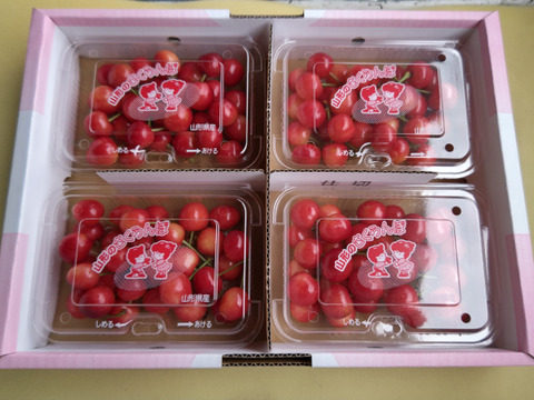 佐藤錦　秀以上　L以上　200g x 4