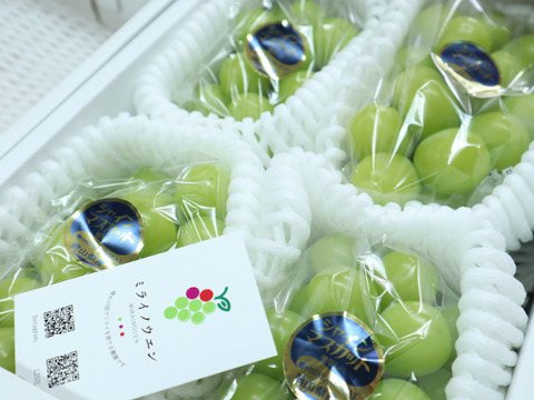【お中元】【夏ギフト】厳選！農家直送！　晴れの国岡山のシャインマスカット【贈答用】2kg 4房入り