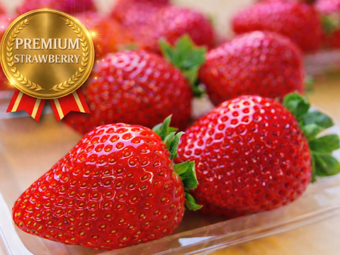 シャキッと歯応え！ジュワ～と果汁！完熟とちあいか！お得な2箱セット★今話題の甘さが際立つ品種です！260g×8パック