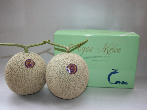 【夏ギフト】高級メロン 千葉県富津市産アールスメロン 1.2～1.5kg/個 ×2個入り