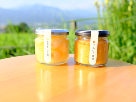 【福袋2025】南阿蘇お試しセット（美味しい物をちょっとずつ！味わえます）