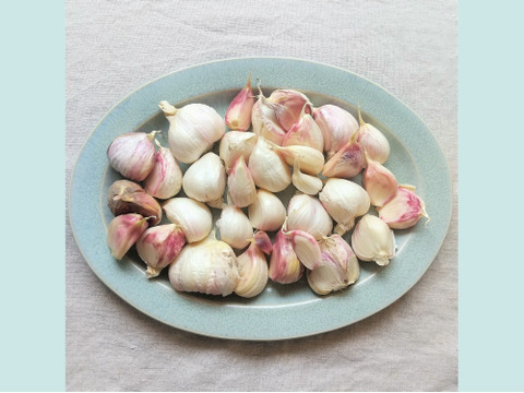 【有機JAS認証・期間限定】生にんにくバラ 南アルプスの有機野菜　500g